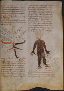 Cod. 97, p. 521