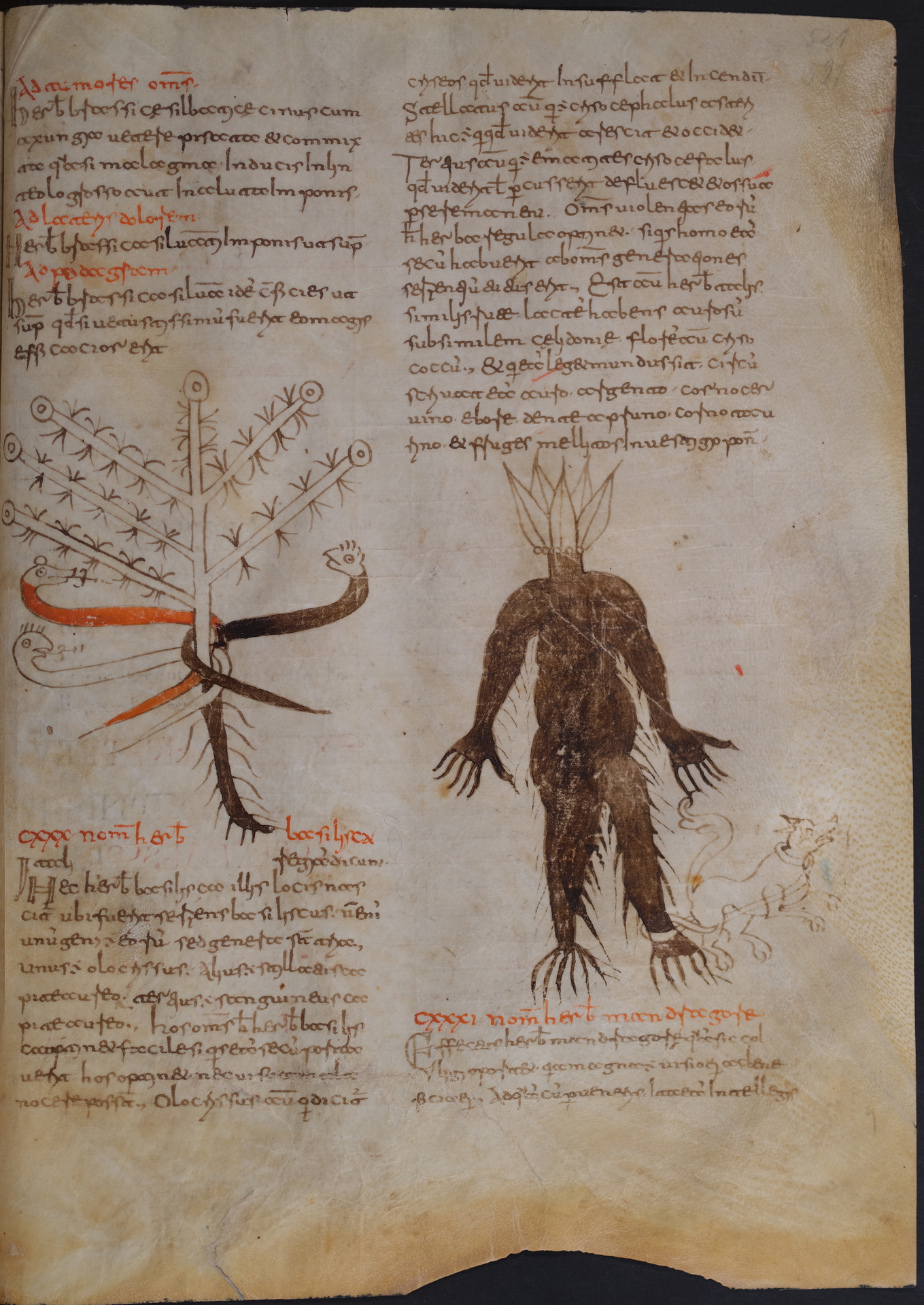 Cod. 97 p. 521
