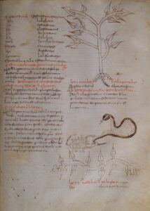 Cod. 97, p. 493