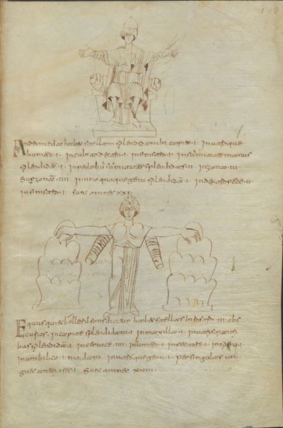 Pagina del Codice 3 con due figure femminili stilizzate: una seduta in trono con le braccia aperte e l’altra in piedi tra due forme montuose schematiche, accompagnate da testo latino.