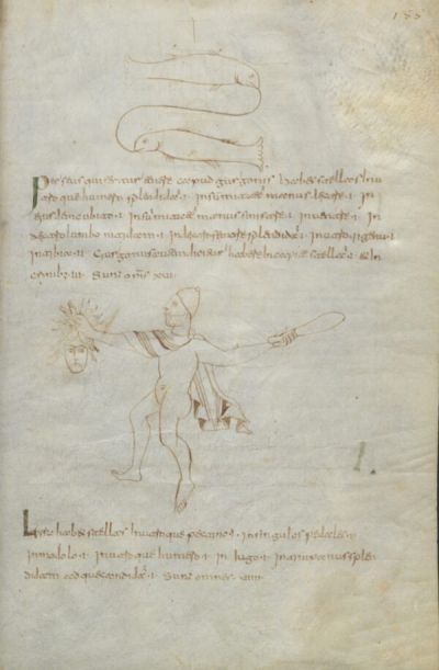 Pagina del Codice 3 con una figura umana che brandisce una testa recisa e un’arma, sotto un disegno di due creature serpentiformi, accompagnata da testo latino.