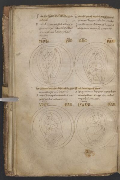 Pagina del manoscritto G.K.S. 1653 con quattro figure umane schematizzate inscritte in cerchi, accompagnate da testo latino.